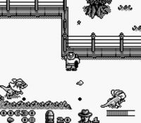 une photo d'Ã©cran de Jurassic Park sur Nintendo Game Boy